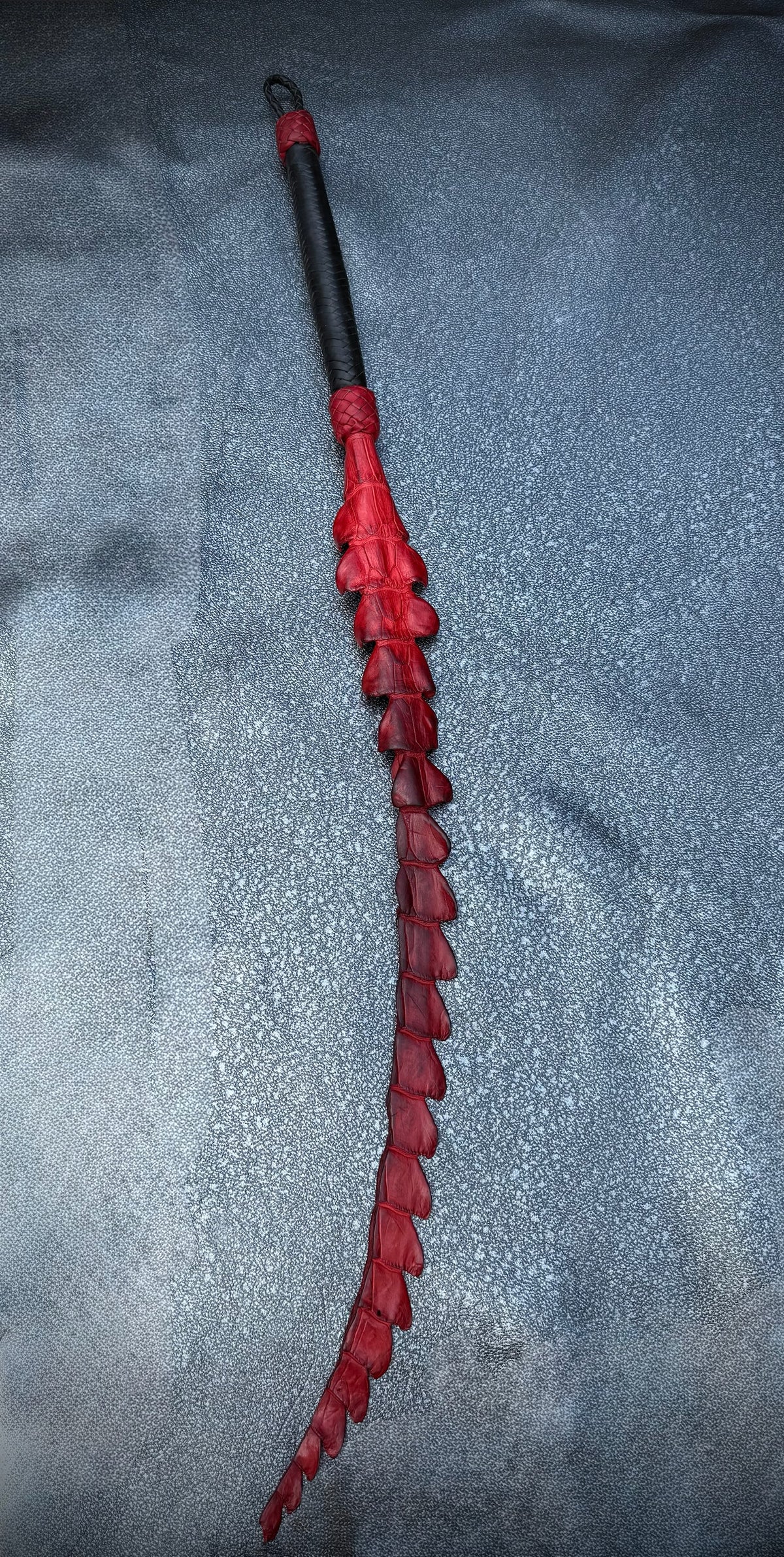 Crocodile Dragon's Tail, photo 6 of 12