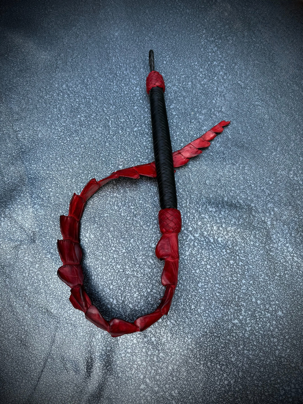 Crocodile Dragon's Tail, photo 5 of 12