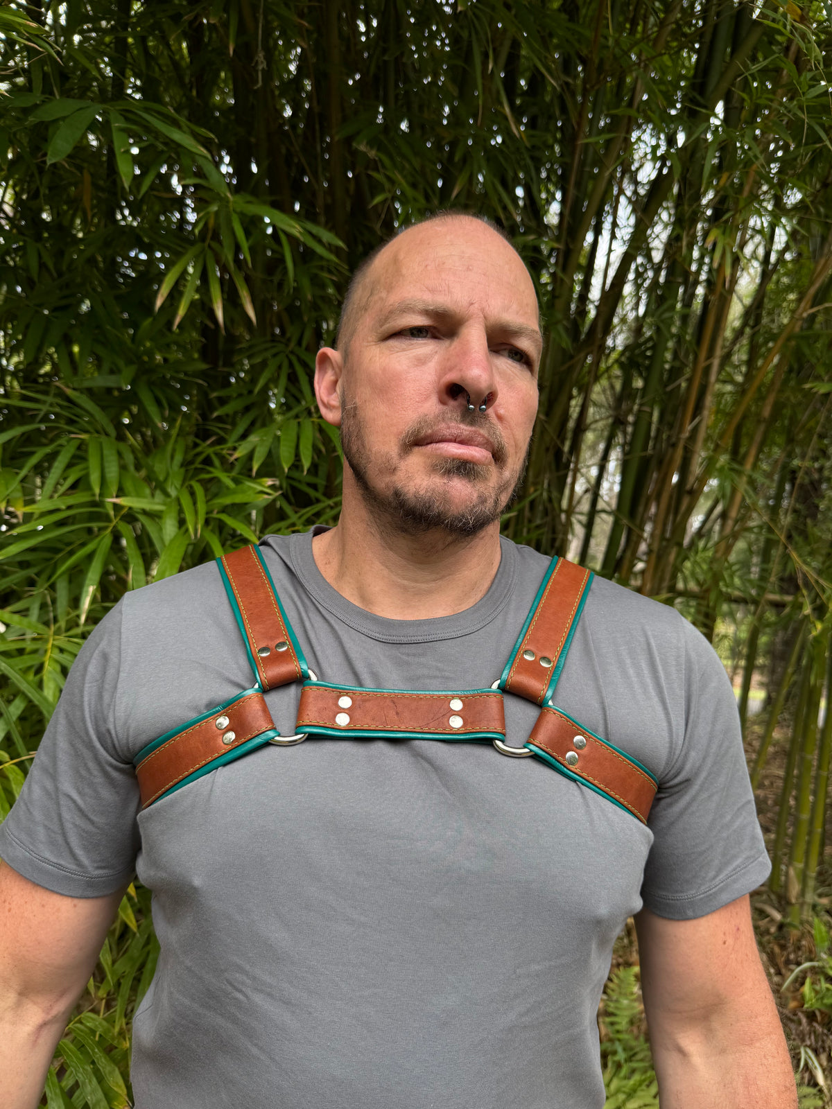 Handmade two-tone leather bulldog harness by The Shibari Sir, made in Australia