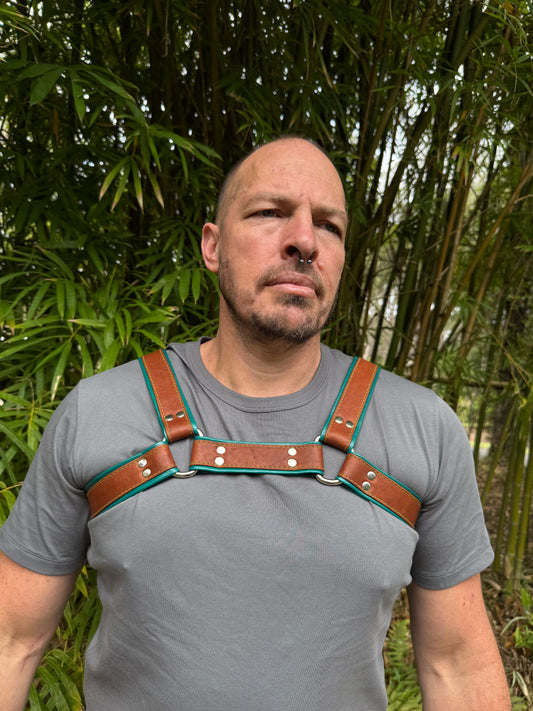 Handmade two-tone leather bulldog harness by The Shibari Sir, made in Australia