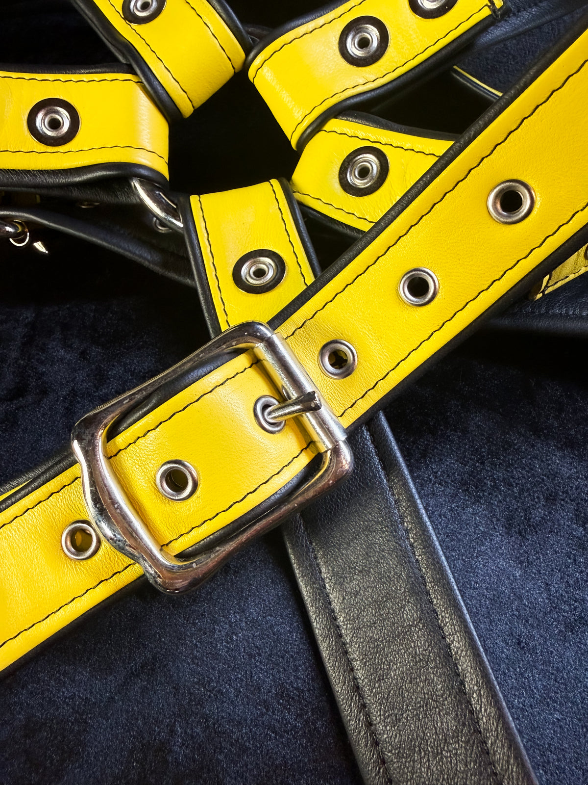 4-Point Harness with Optional 6-Point Add-On, photo 12 of 23