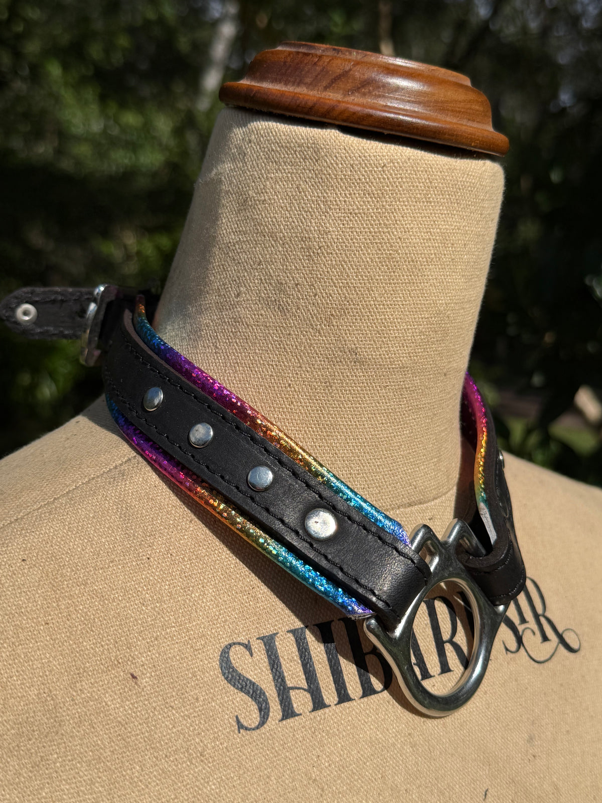 Leather Play Collar, photo 10 of 10