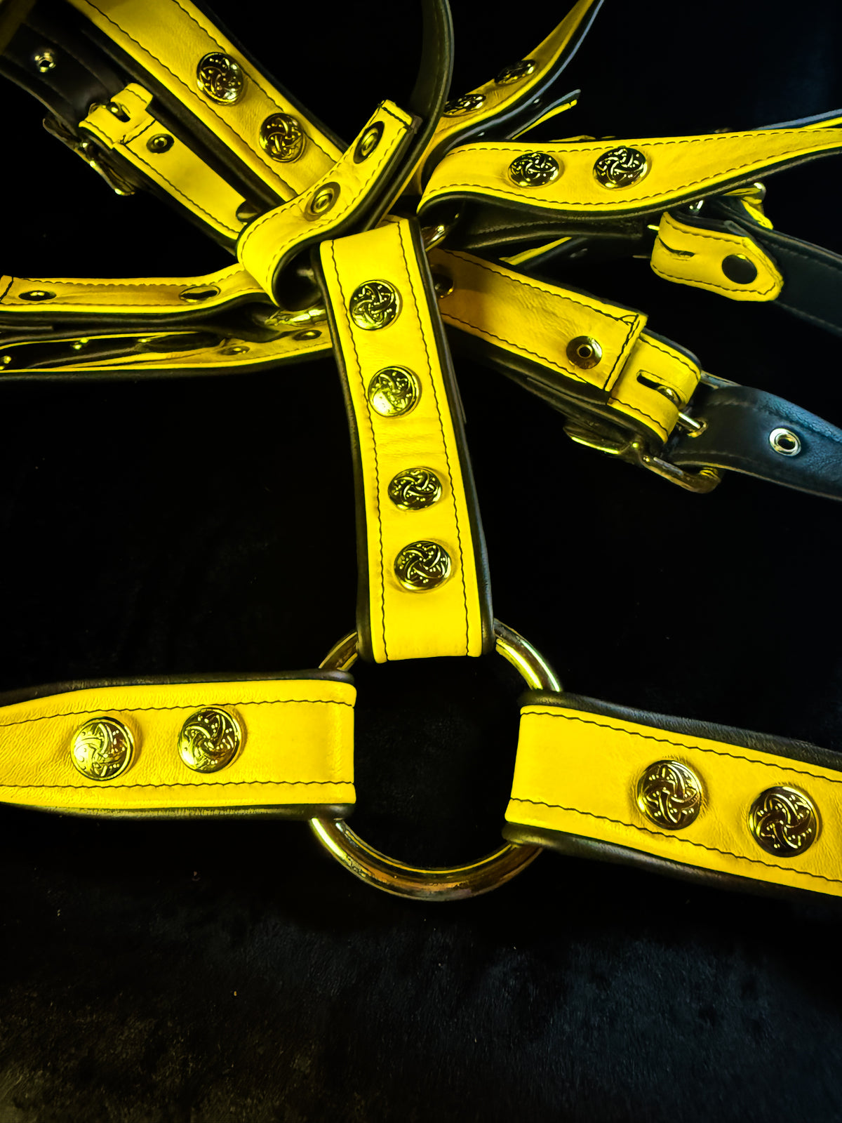 4-Point Harness with Optional 6-Point Add-On, photo 11 of 23