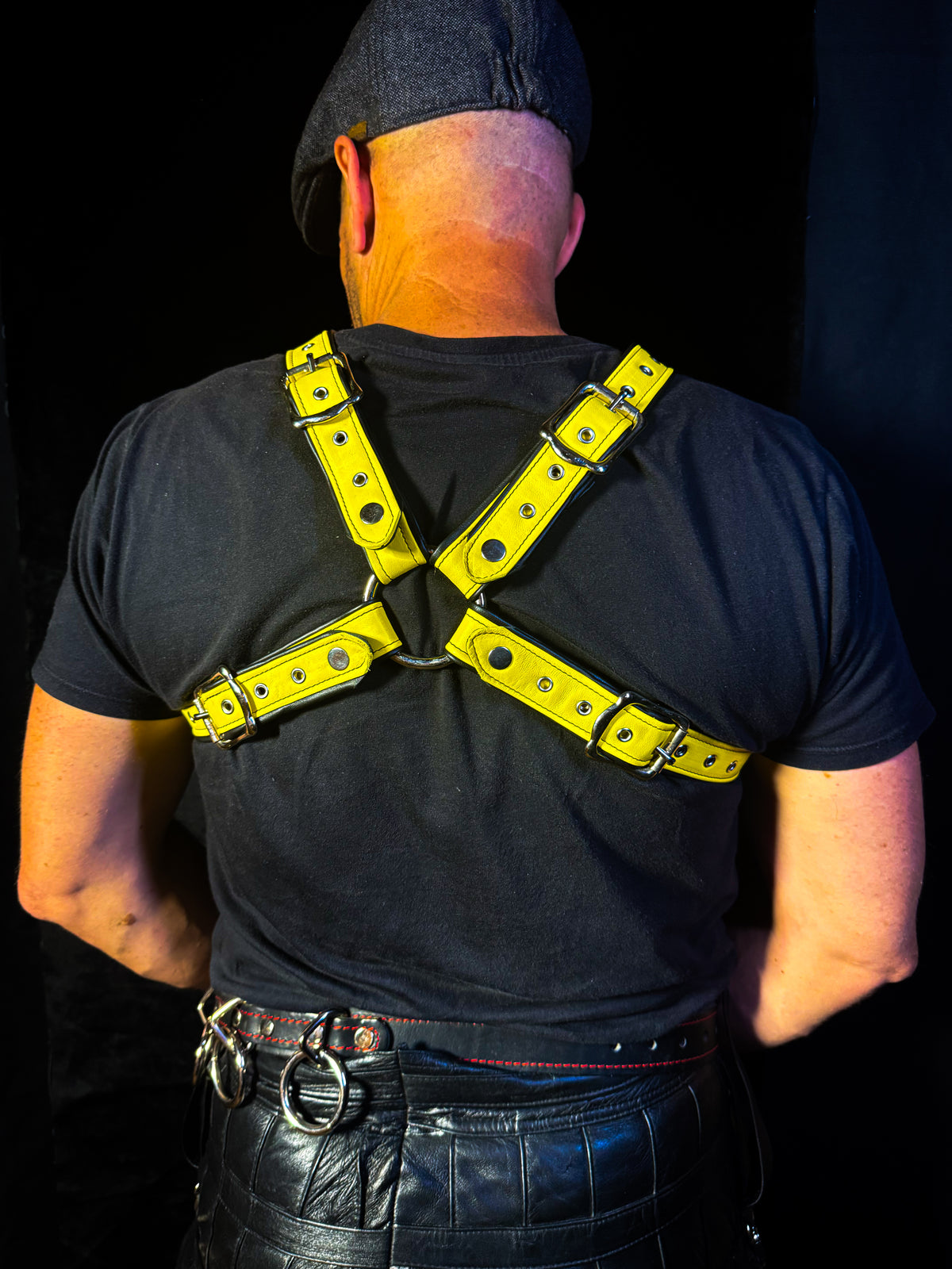 4-Point Harness with Optional 6-Point Add-On, photo 8 of 23