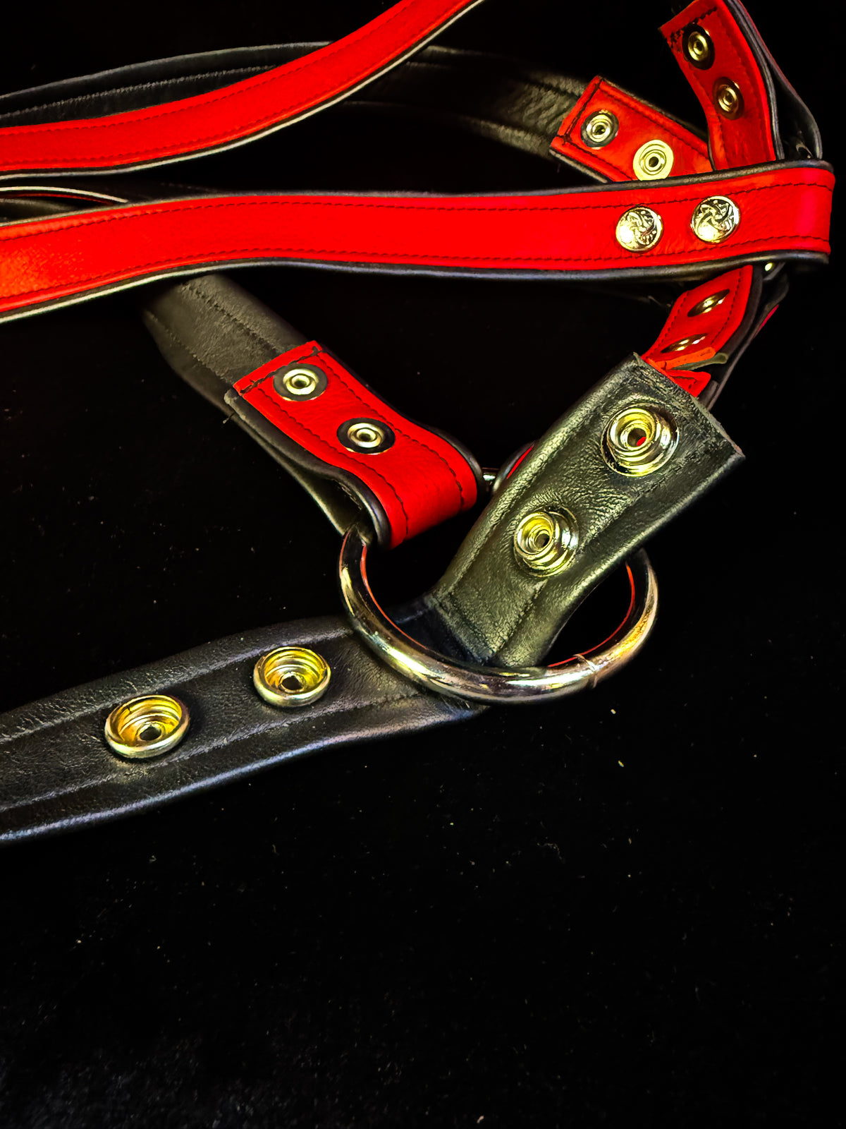 4-Point Harness with Optional 6-Point Add-On, photo 16 of 23