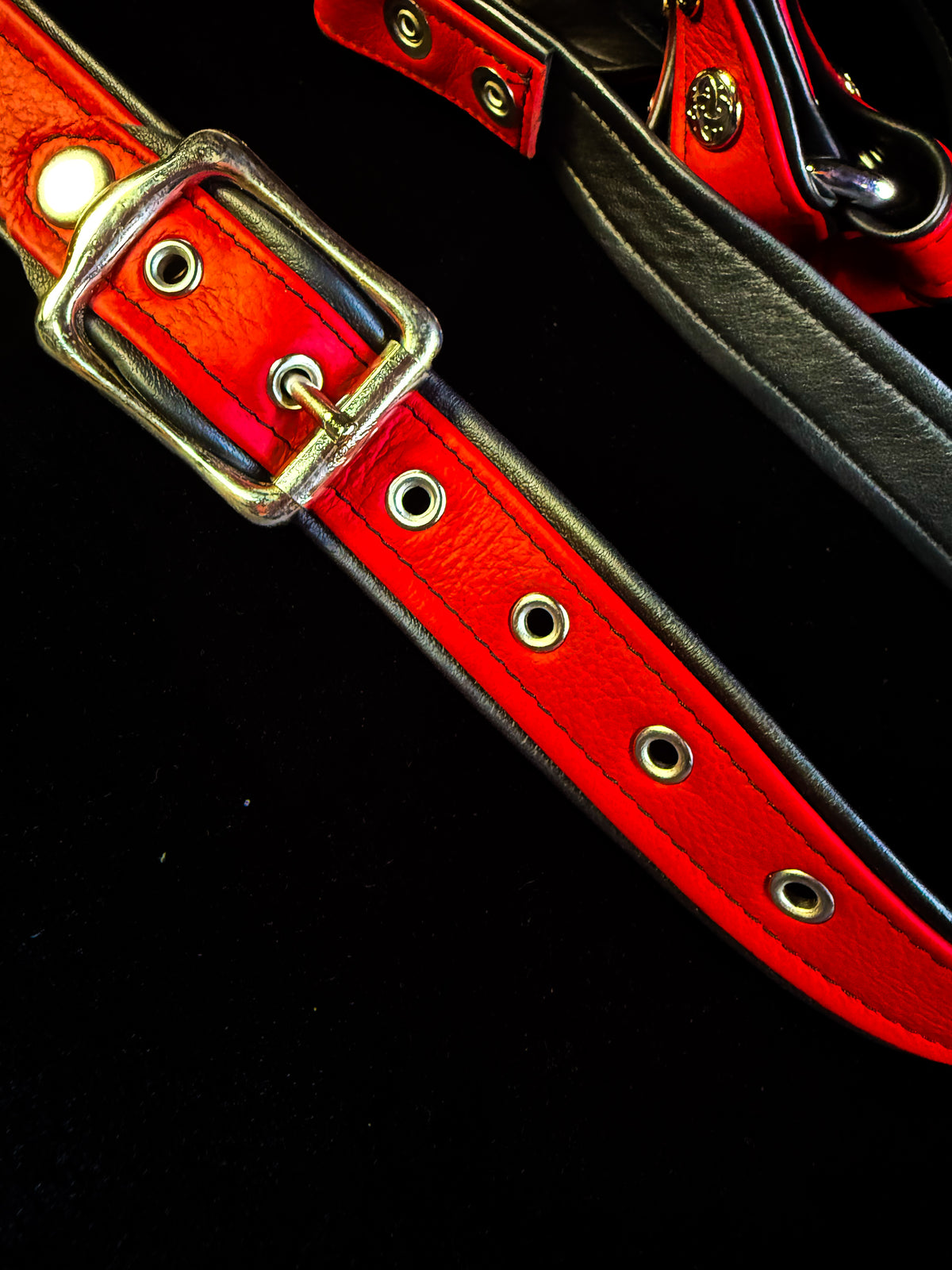 4-Point Harness with Optional 6-Point Add-On, photo 18 of 23