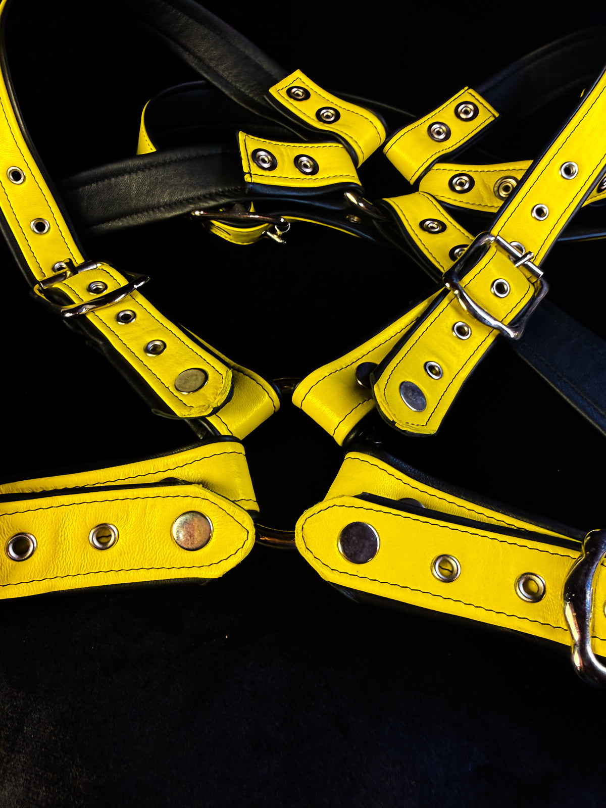 4-Point Harness with Optional 6-Point Add-On, photo 14 of 23