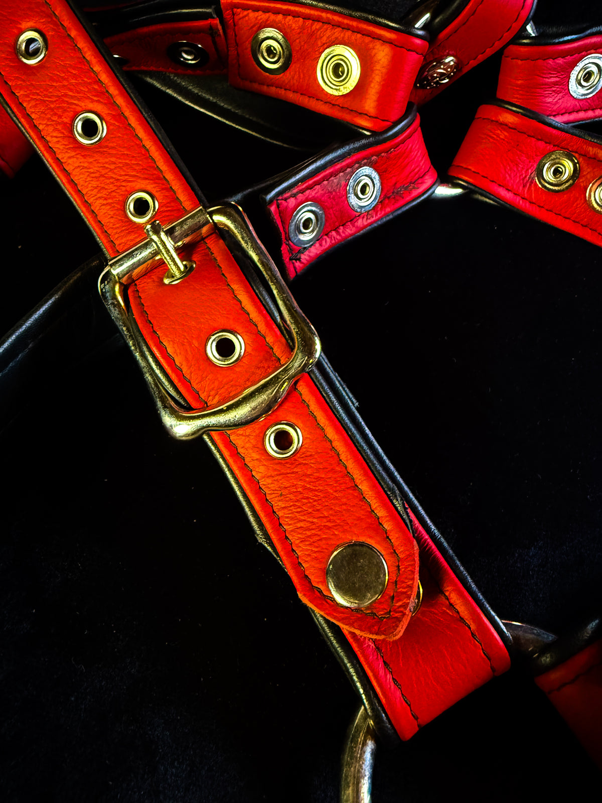 4-Point Harness with Optional 6-Point Add-On, photo 13 of 23
