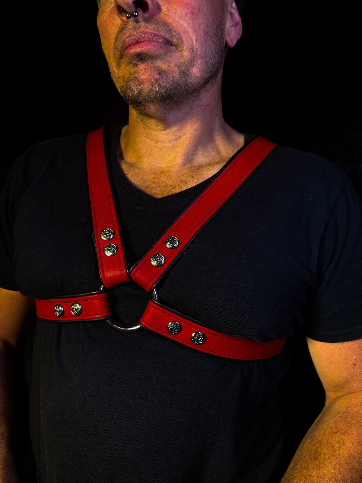 4-Point Harness with Optional 6-Point Add-On, photo 21 of 23