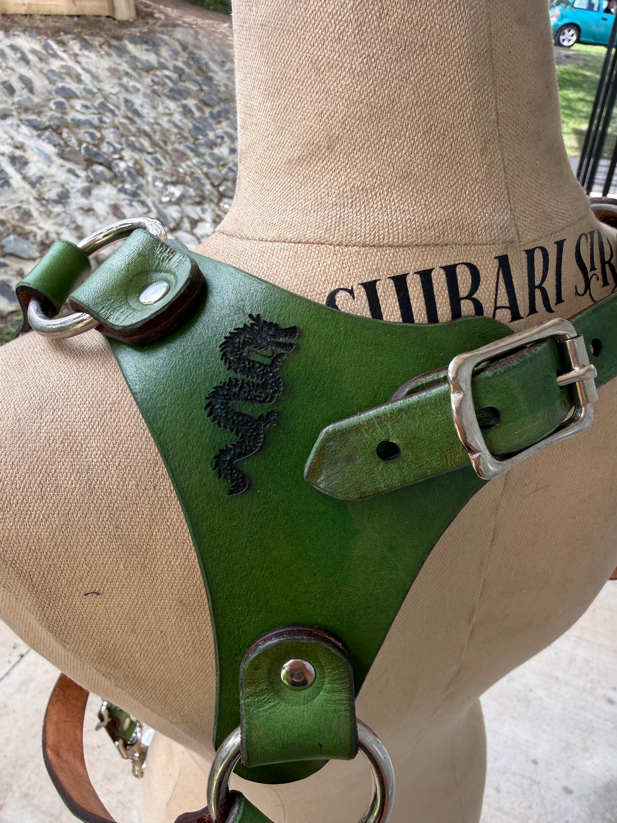 Hand-dyed green riggers harness