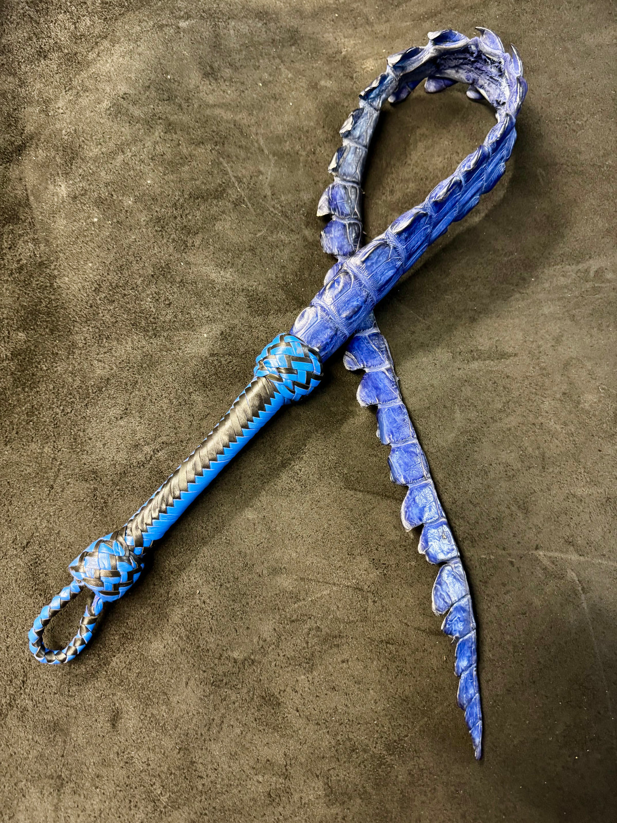 Crocodile Dragon's Tail, photo 8 of 12