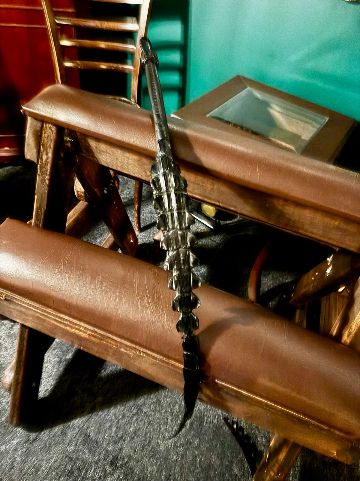 Crocodile Dragon's Tail, photo 4 of 12