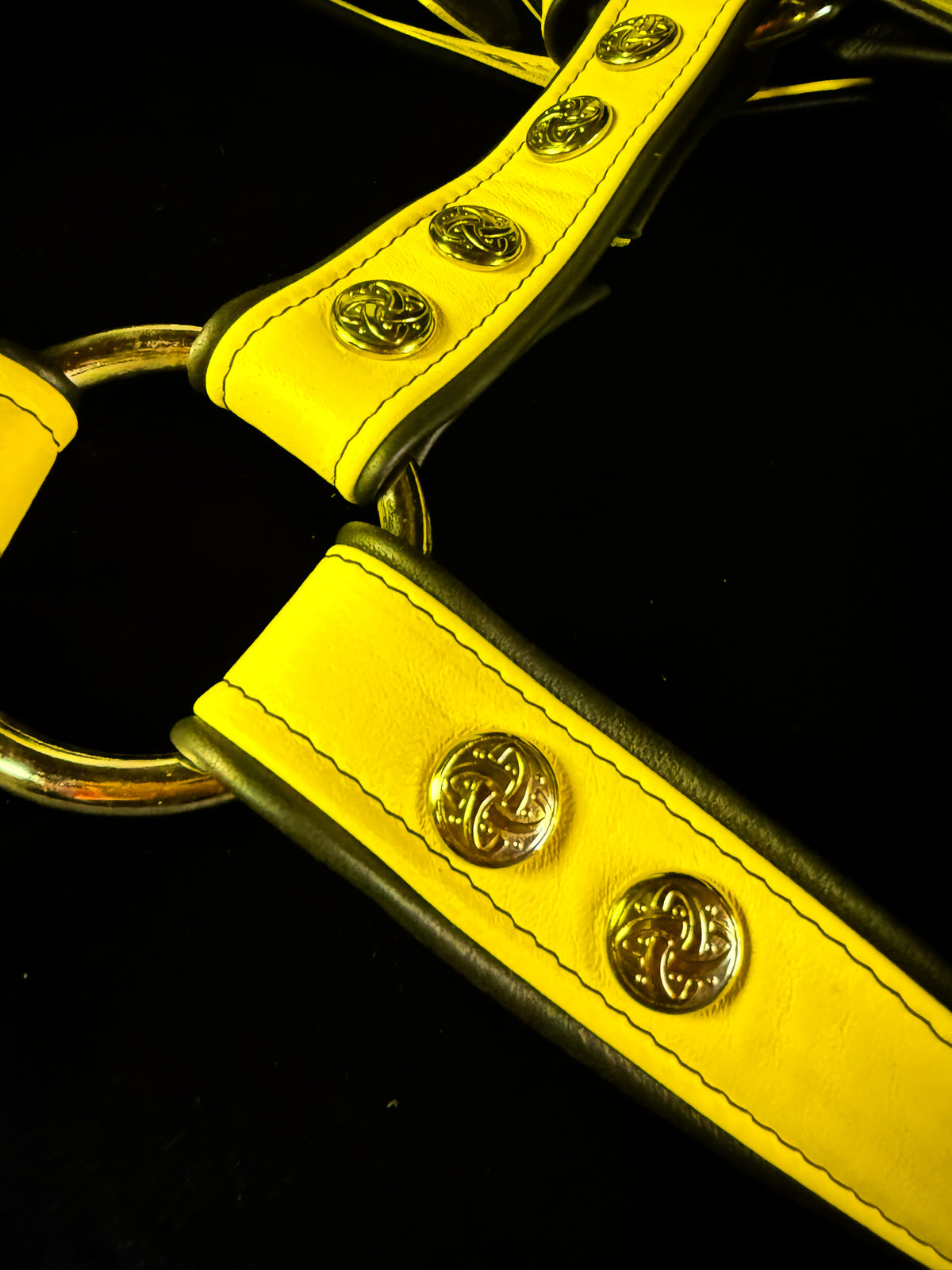 4-Point Harness with Optional 6-Point Add-On, photo 10 of 23