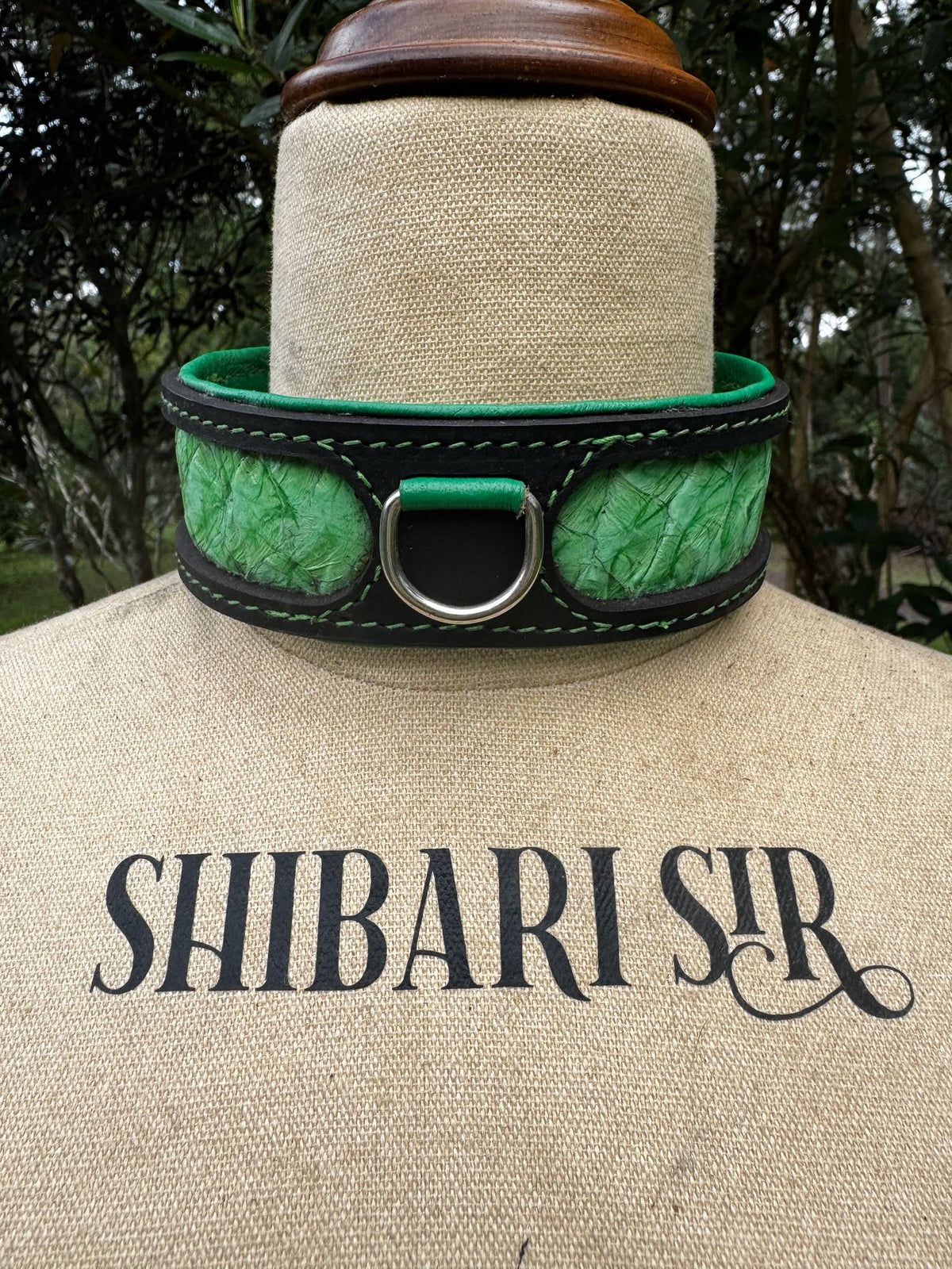 Fairy Floss Collar, Black with Peppermint Barramundi Skin, handmade in Australia by The Shibari Sir