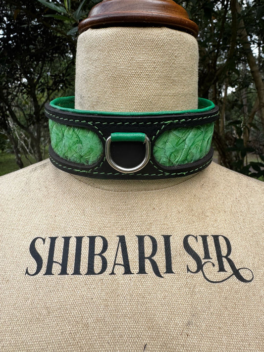 Fairy Floss Collar, Black with Peppermint Barramundi Skin, handmade in Australia by The Shibari Sir