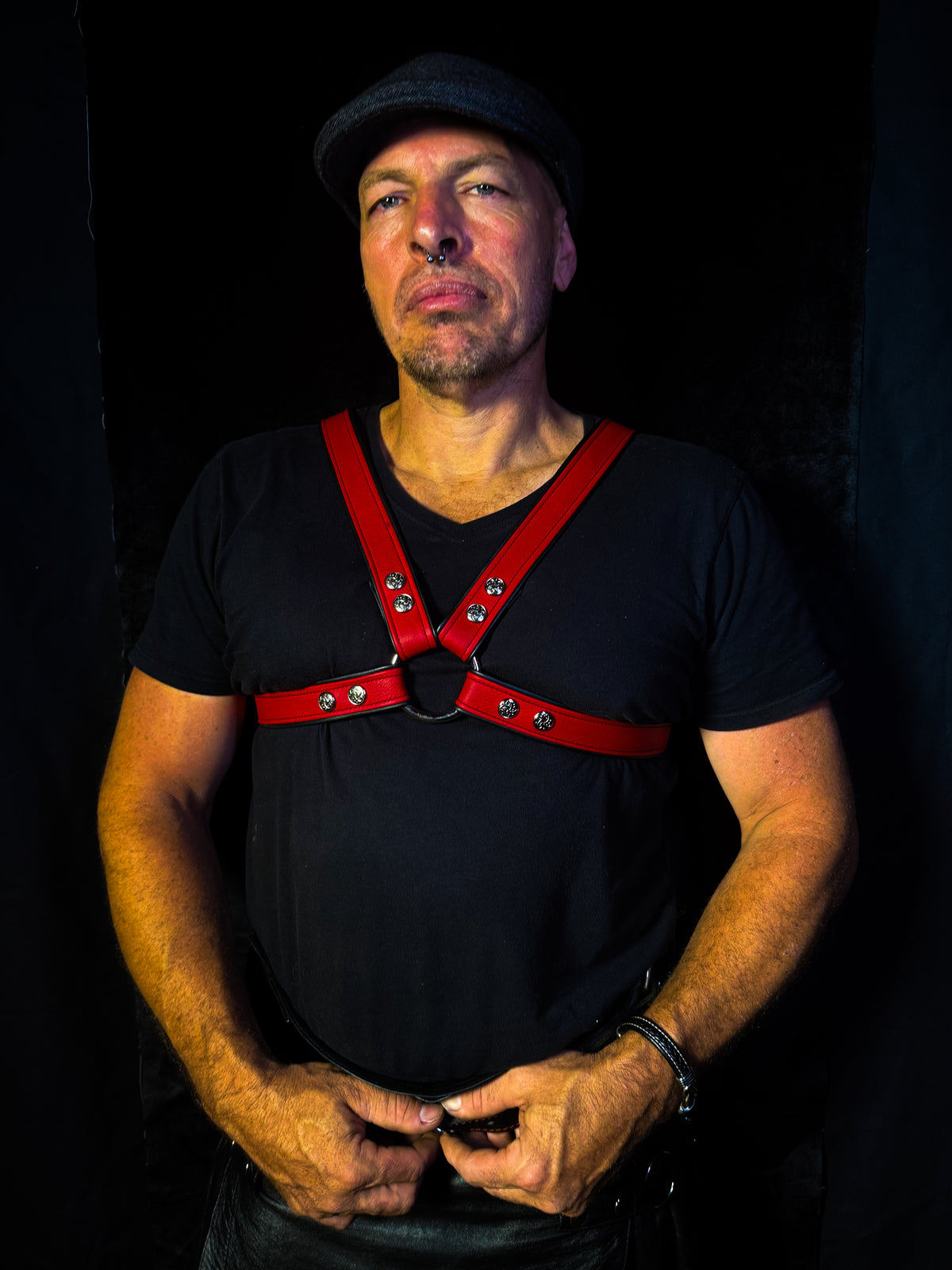 4-Point Harness with Optional 6-Point Add-On, photo 3 of 23