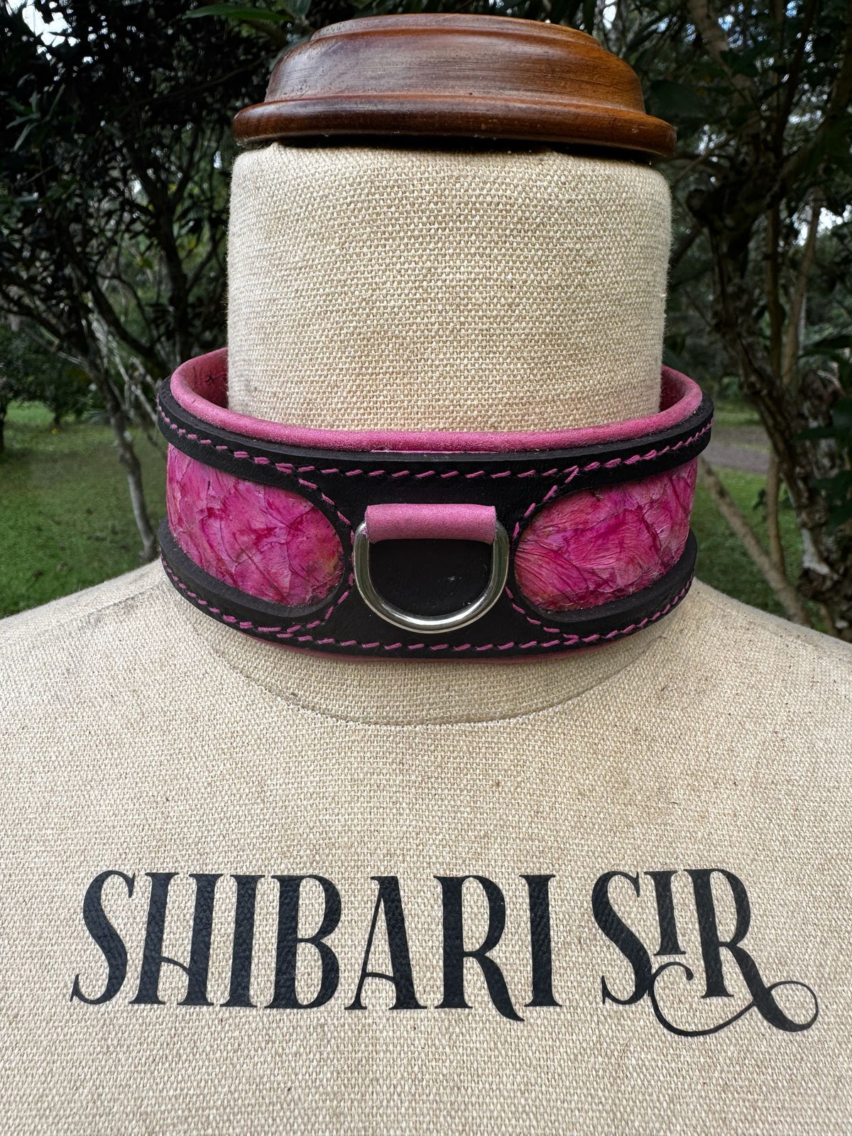 Fairy Floss Collar, Black with Pink Barramundi Skin, handmade in Australia by The Shibari Sir