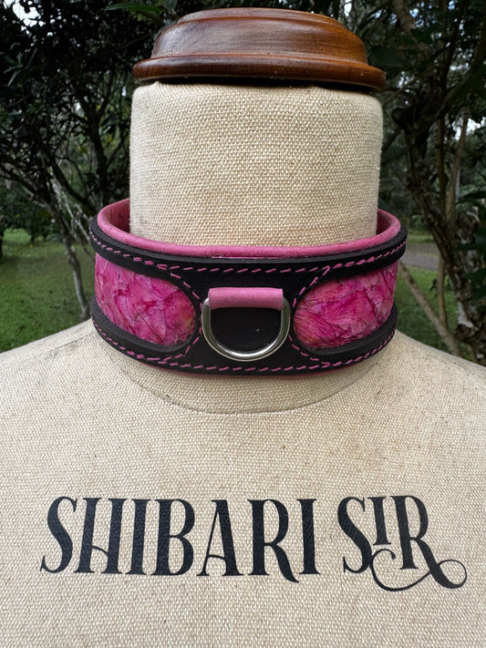 Fairy Floss Collar, Black with Pink Barramundi Skin, handmade in Australia by The Shibari Sir
