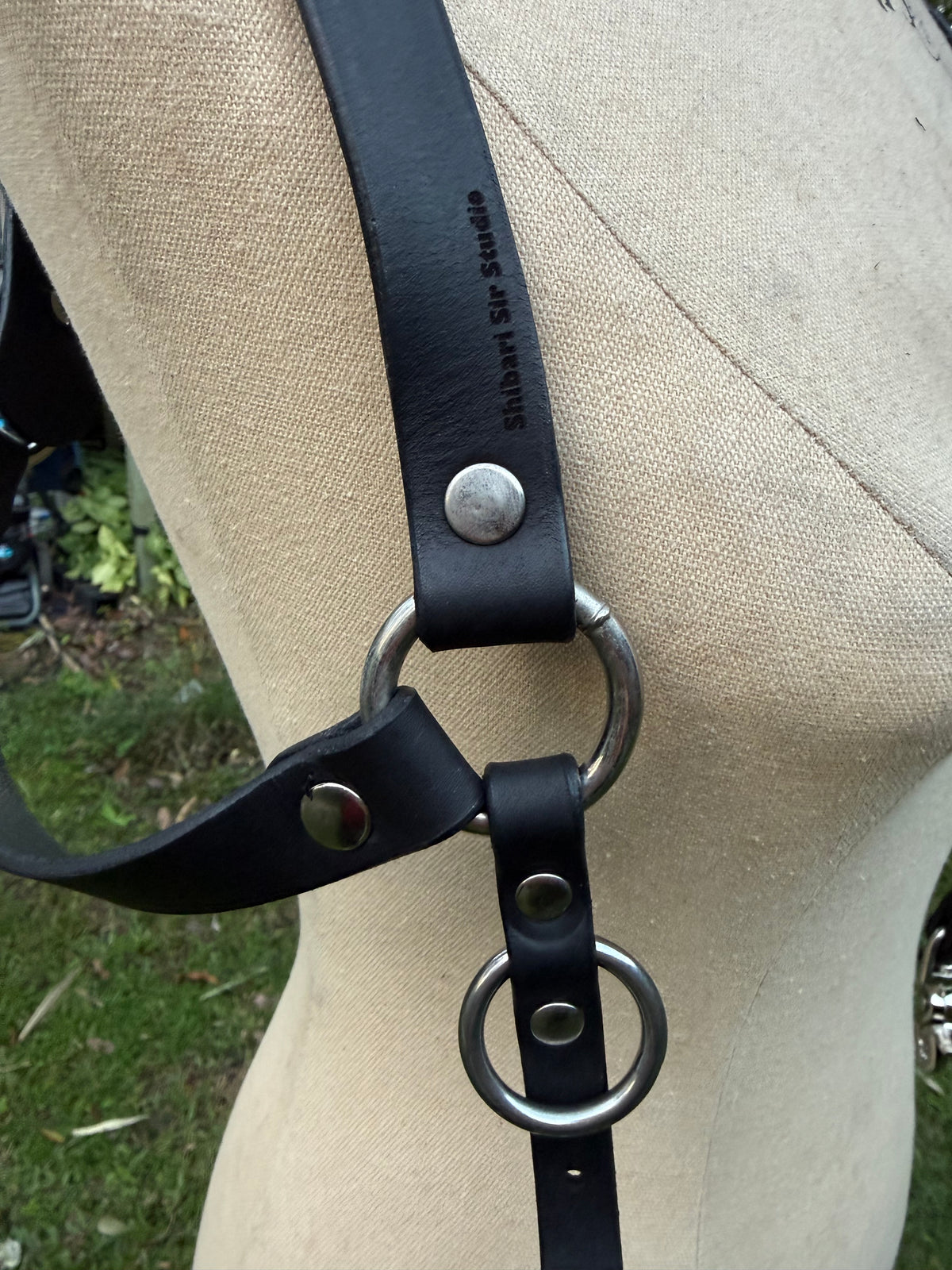 Black Riggers Harness, photo 2 of 6