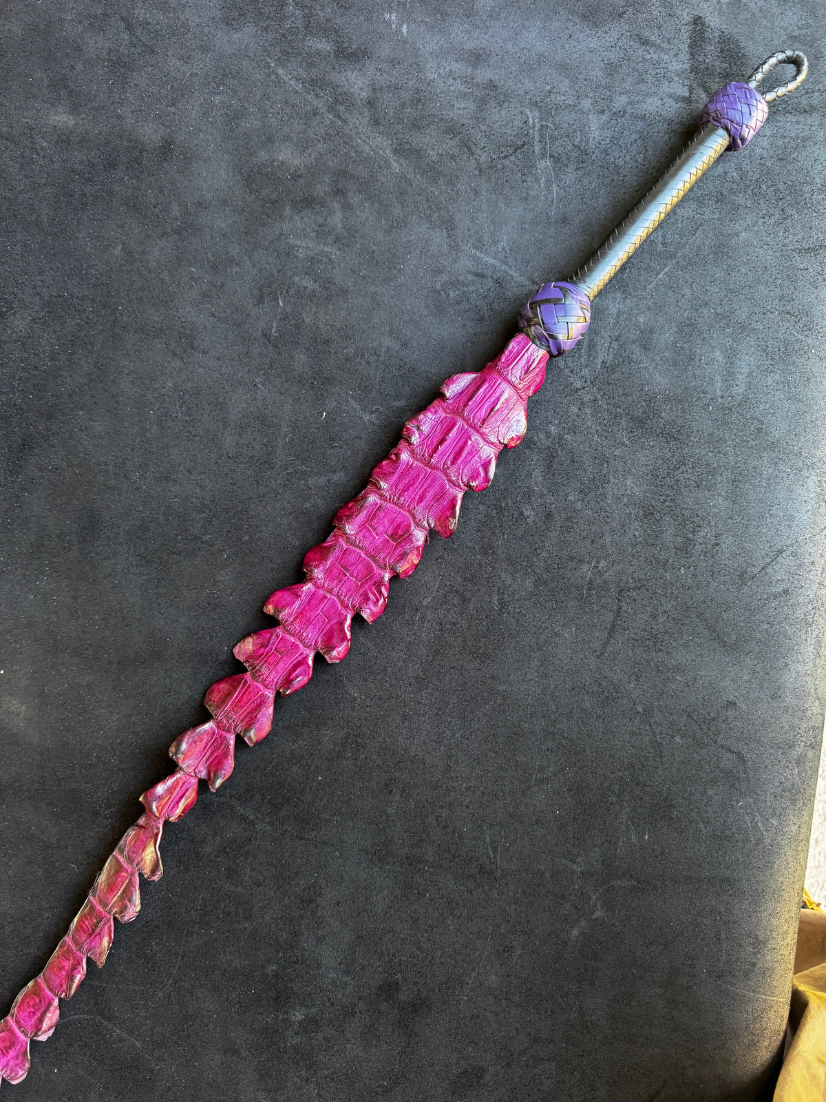 Crocodile Dragon's Tail, photo 10 of 12