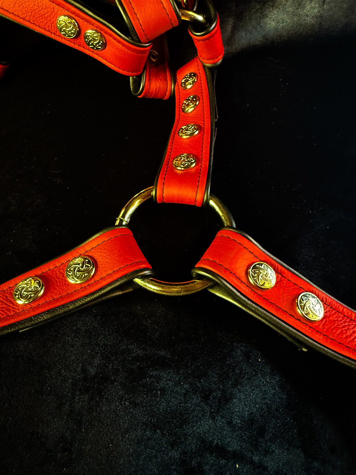 4-Point Harness with Optional 6-Point Add-On, photo 17 of 23