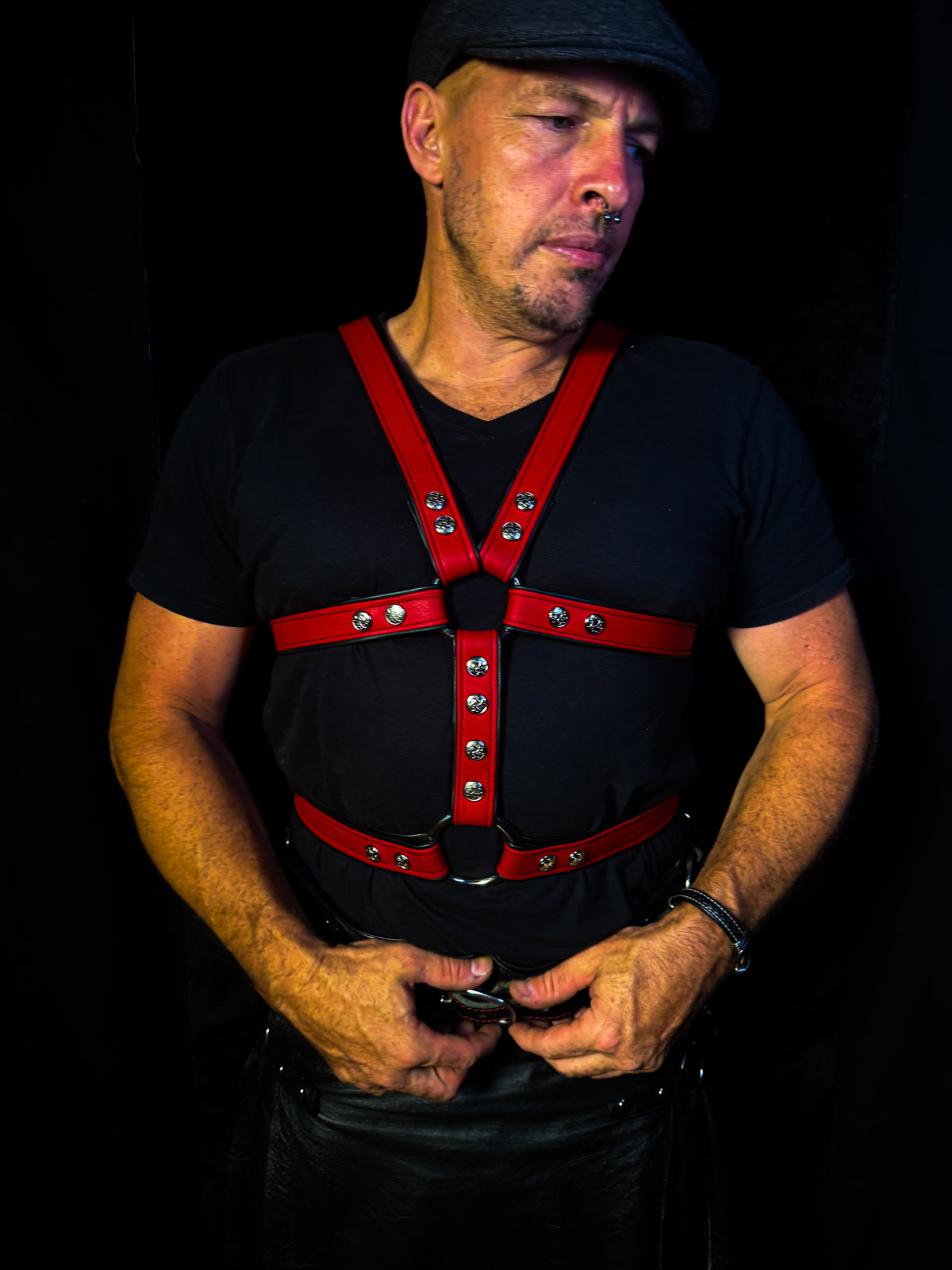 4-Point Harness with Optional 6-Point Add-On, photo 9 of 23