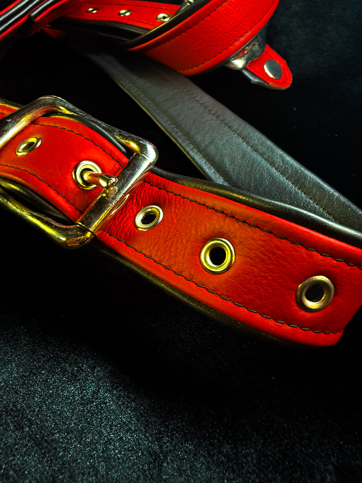 4-Point Harness with Optional 6-Point Add-On, photo 19 of 23