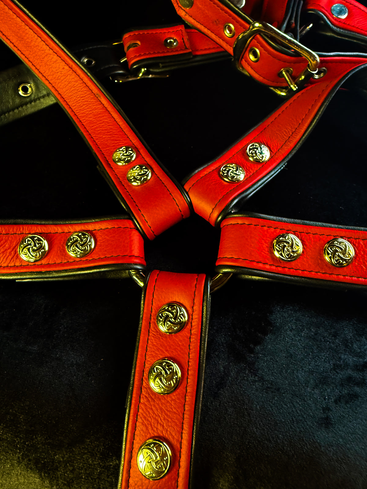 4-Point Harness with Optional 6-Point Add-On, photo 15 of 23
