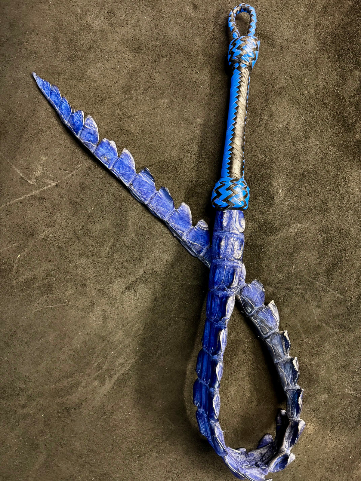 Crocodile Dragon's Tail, photo 9 of 12
