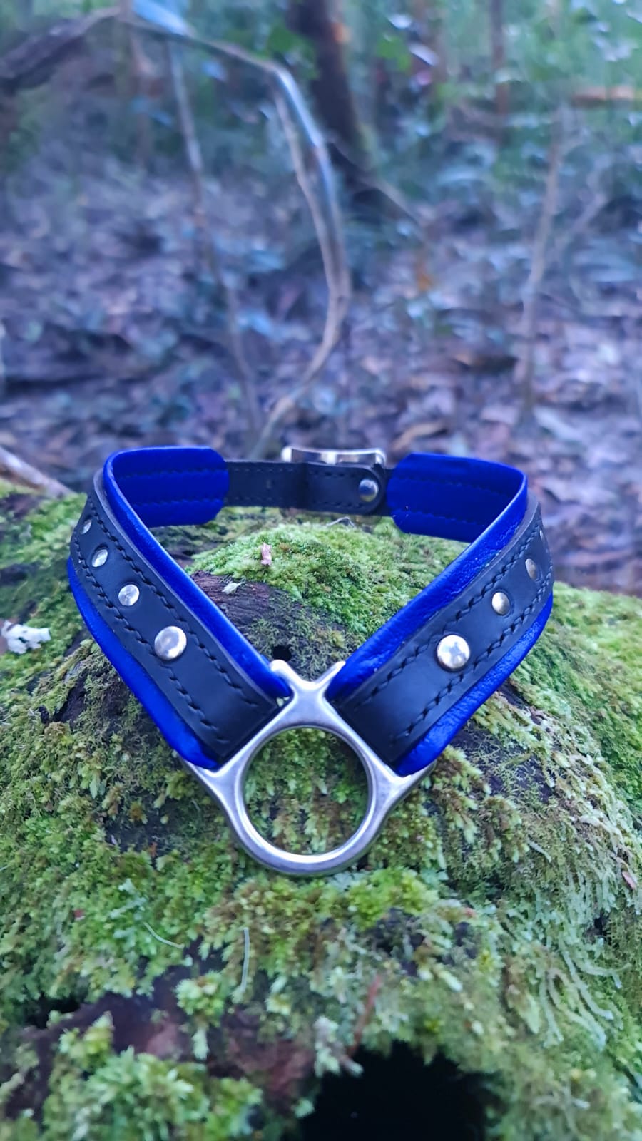 Leather Play Collar, photo 2 of 10